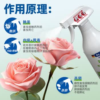 Dr.Riley德国原液花卉杀虫剂植物蚜虫呋虫胺喷雾土壤绿植月季花草红黑蜘蛛