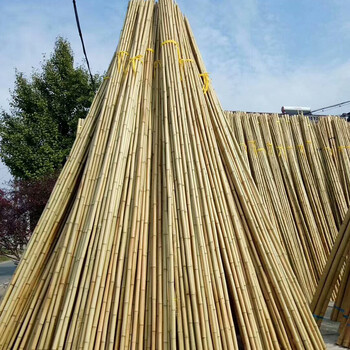 古之南  防腐竹竿 装修竹竿竹子吊顶室内装饰装潢材料 户外粗细干竹杆