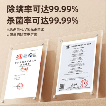 志高（CHIGO）旅行便携式干衣机烘干机小型折叠烘衣机除湿家用婴儿衣物烘干机内衣消毒机889-3可带上飞机高铁