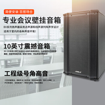 狮乐（SHILE）10英寸会议室音响系统 功放音响组合舞蹈室报告厅教室壁挂音箱套装AV106+BX106两对+SH28配2手持