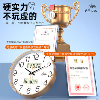 康巴丝（Compas）挂钟电波钟自动对时考场客厅时钟石英钟表挂墙D6537-1流沙金 30cm