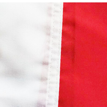 易利丰（elifo）加厚空白红旗旗帜外挂彩旗红色旗子小大红旗户外不带杆纯红旗手持纯色空白旗布团建运动会表演出用