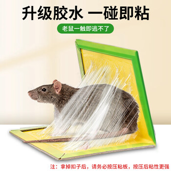 MEN WOO粘鼠板10张老鼠贴超强力大号沾占粘鼠贴毯一窝端灭捕鼠神器家商用
