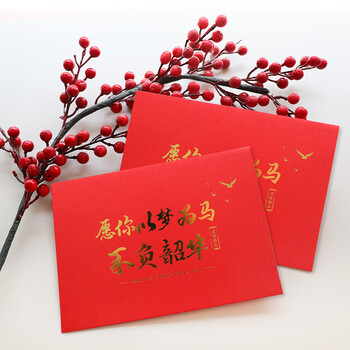 得印成人礼信封礼物十八18岁成年礼信封精美信纸10十岁成长礼励志红色青春礼信封男女贺卡以梦为马3964