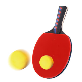 特斯恩（TESIEN） 乒乓球拍 星级球拍专业球拍乒乓球拍短柄236mm TSN-P01