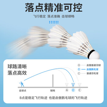 启傲(QIAO)鹅毛羽毛球训练级耐打鹅毛羽球AS15ew 12只装/筒 启傲(QIAO)鹅毛羽毛球训练级耐打鹅毛羽球AS15ew 12只装/筒