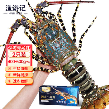 大l龙虾价格报价行情- 京东
