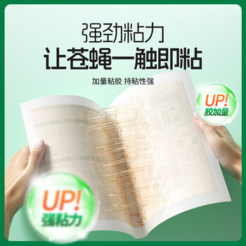 绿叶(Green Leaf)苍蝇粘板粘蝇胶捕蝇灭蝇器20张装 GL02110 绿叶(Green Leaf)苍蝇粘板粘蝇胶捕蝇灭蝇器20张装 GL02110