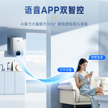 林内（Rinnai）燃气壁挂炉 WIFI语音双智控【超二级能效】生活热水家用地暖采暖锅炉L1PB40-35C39