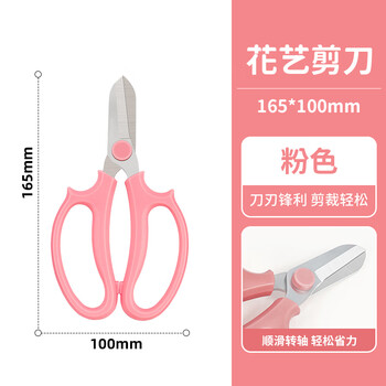 天色 花艺剪刀165mm 家用鲜花插花专用剪刀 绿箩绿植盆栽花卉修剪刀 园艺剪刀 鲜花剪 TS-5744 粉色 天色 花艺剪刀165mm 家用鲜花插花专用剪刀 绿箩绿植盆栽花卉修剪刀 园艺剪刀 鲜花剪 TS-5744 粉色