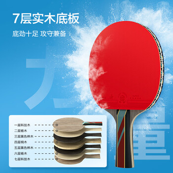 京东京造 马啸三星乒乓球拍双拍2只装横直对拍训练套装双面反胶3星 横直板
