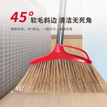 微力达（Vileda）德国鬃毛扫把簸箕套装 家用软毛扫帚不沾灰扫地笤帚套装两件套
