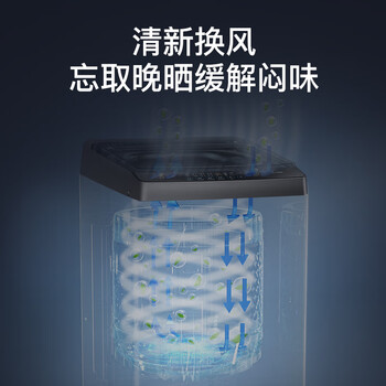 海尔（Haier）洗衣机全自动波轮12公斤家用大容量宿舍租房超薄 智能预约 家电EB120Z33Mate1