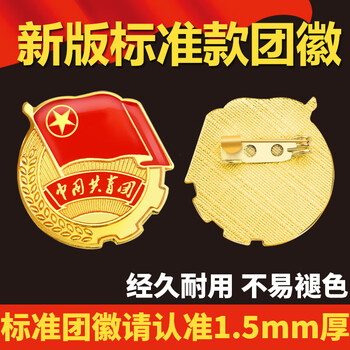 易利丰（elifo）2025最新版标准款1.5mm加厚正版2cm中国共青团团徽磁吸团员徽章别针款双面强磁大磁铁扣学生用胸章