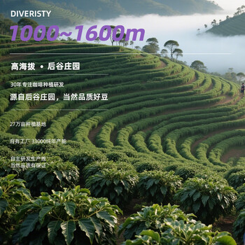 后谷 云南小粒咖啡豆 意式风味SOE 500g 阿拉比卡咖啡豆 中深度烘焙