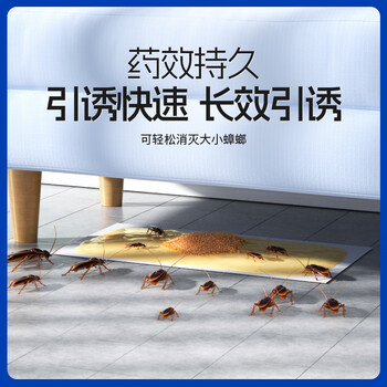 绿叶蟑螂粘板蟑螂药杀蛮蠊室内蟑螂粘纸20片除蟑螂屋2118A 绿叶蟑螂粘板蟑螂药杀蛮蠊室内蟑螂粘纸20片除蟑螂屋2118A