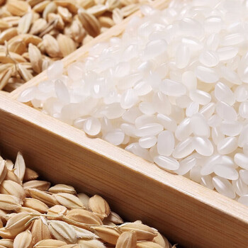 奥妙（OMO）薰衣草超效洗衣皂200G*1块 天然植物油+孔雀呈祥飞五常大米5kg