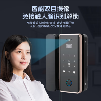 真地 Realand  人脸识别门禁锁玻璃门单门双开门指纹锁办公室涂鸦app远程开锁密码锁钥匙应急开锁 Q6