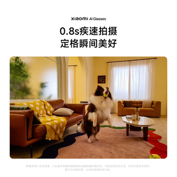 小米（MI）AI眼镜 玳瑁棕 拍摄眼镜 无线智能眼镜 蓝牙语音通话眼镜 拍照翻译眼镜