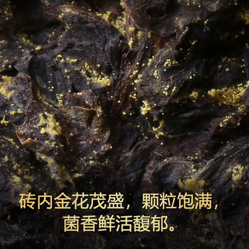 白沙溪茶叶安化黑茶金花茯茶砖茶7年陈大师馆藏茶叶礼盒装1kg送礼袋