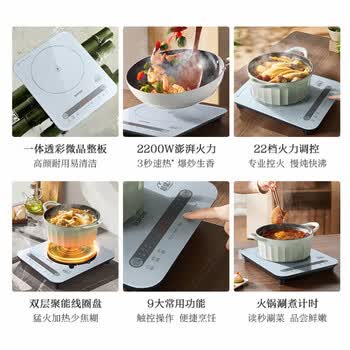 苏泊尔（SUPOR）电磁炉家用2200W大功率大面板大线圈防辐降噪预约定时 C22-IA08  2200W猛火 