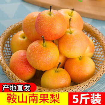 南果梨 1箱　高級 南果梨 一箱高級