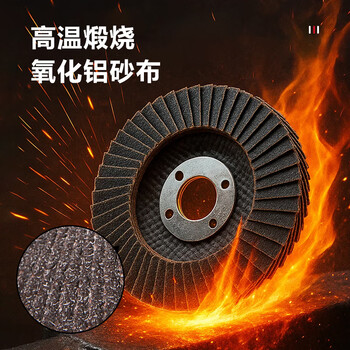 得力（deli）角磨机百叶片百叶轮打磨片瓷砖打磨片磨光片金刚石磨片80网盖10片
