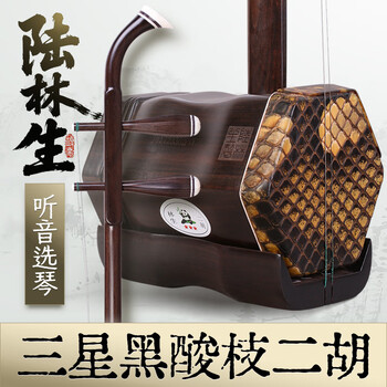 中国二胡（林生） hq720.jpg?sqp=-
