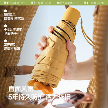 蕉下防紫外线遮阳伞五折黑胶晴雨伞防晒伞绿植BM528沙丘海