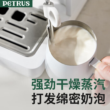 柏翠（petrus）冷萃咖啡机家用全半自动意式奶泡浓缩萃取冷热双萃 