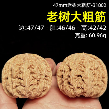 文玩核桃 48尺大粗筋狮子头 大粗筋狮子头价格报价行情- 京东