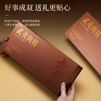 七春武夷岩茶肉桂茶叶礼盒168g 正岩浓香型 节日出游送长辈伴手礼品