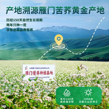 雁门清高黑珍珠苦荞茶330g 养生茶饮 苦荞茶山西 新茶桶装 大容量