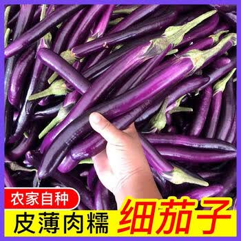 茄瓜图片- 京东