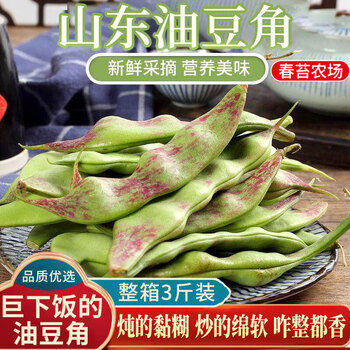 油豆角5公斤 油豆角5斤东北特产开锅烂新鲜蔬菜豆角豇豆宽【价格图片品牌报价