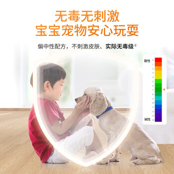 斧頭牌去污地板清洁剂柠檬清香2L*2瓶瓷砖实木地板通用新老包装随机发货