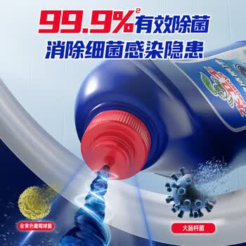 水卫仕（seaways）强效洁厕灵500g*1瓶 除垢马桶清洁剂厕所净除味除菌洁厕液