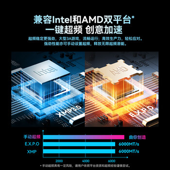 佰维（BIWIN）48G(24G×2)套装 DDR5 6000频率台式机内存条 时空行者DW100 RGB灯条(C28)黑色AI PC电脑存储配件
