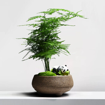 ☆A 時代物 斑竹筏敷板 竹地板 盆栽草物山野草花台 飾台 煎茶道具 