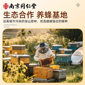 信盛堂南京同仁堂百花蜂蜜500g蜂蜜露土蜂蜜纯天然早餐牛奶咖啡冲调