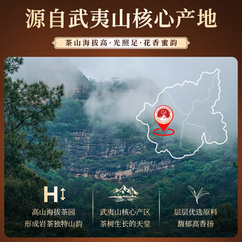 七春武夷岩茶肉桂茶叶礼盒168g 正岩浓香型 节日出游送长辈伴手礼品