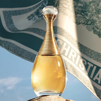 m*い様 【元彼浄化!!!】Diorの香水と、Tiffanyのジュエリーセット dior 项链价格报价行情- 京东