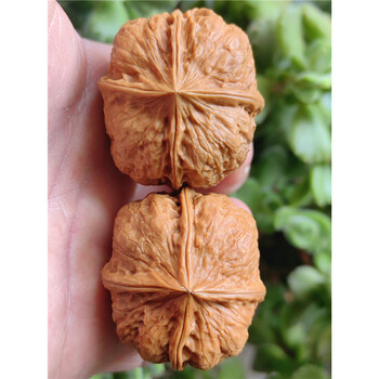 文玩四棱核桃品牌及商品- 京东