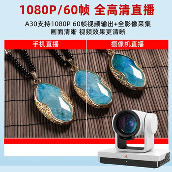 oton 奥顿A30 直播摄像头竖屏抖音直播设备全套美颜高清带货直播专业直播间摄像机 摄像头+无线麦克风