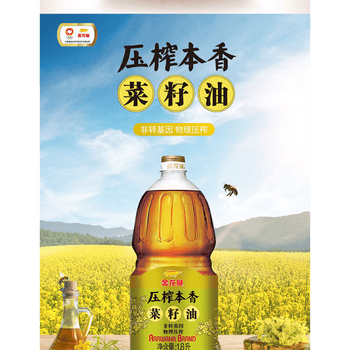 金龙鱼超韧纸手帕12包V0036+非转基因本香菜籽油1.8L