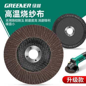 绿林（GREENER）百叶片80目10片100*16角磨机砂轮片抛光打磨片角磨片