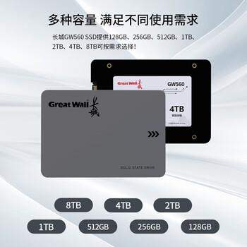 长城（Great Wall) 512GB SSD固态硬盘 SATA3.0接口 读速540MB/S台式机/笔记本通用 GW560系列 