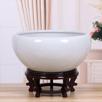 荷花缸金鱼排行- 京东