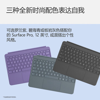 微软(Microsoft)Surface Pro 12英寸键盘盖 板岩灰(适配Surface Pro 12英寸单主机) 微软(Microsoft)Surface Pro 12英寸键盘盖 板岩灰(适配Surface Pro 12英寸单主机)