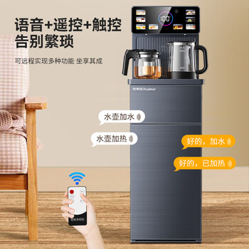 荣事达（Royalstar）家用抑菌316烧水壶下置式饮水机钣金侧板语音遥控跑马灯大屏茶吧机京东自营制冷型CY2857D